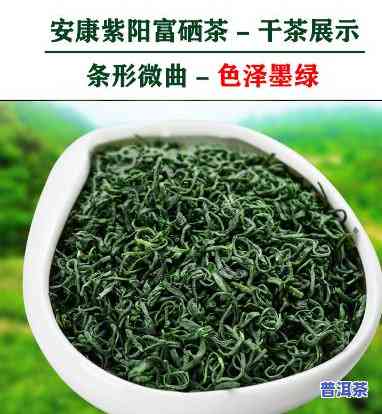 紫阳茶是什么品种？深入熟悉这类特别的茶叶