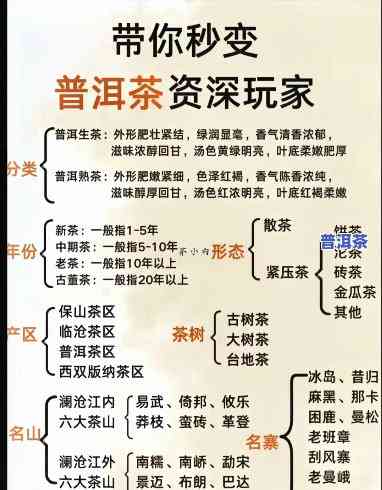 喜欢普洱茶的人，探索普洱茶的世界：喜欢普洱茶的人的必读指南