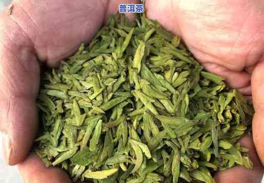 龙井还是普洱茶好喝点呢-龙井还是普洱茶好喝点呢