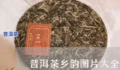 玖妙普洱茶图片高清大图大全，【高清  】玖妙普洱茶图片大全，一网打尽！