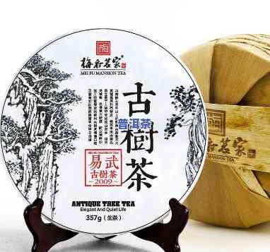 高档普洱茶的有哪些名字，探索高档普洱茶的世界：大全