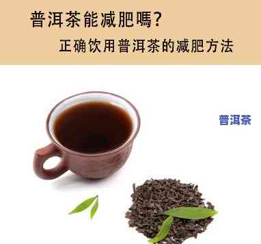 早晨喝熟普洱茶对女生和减肥有何作用？