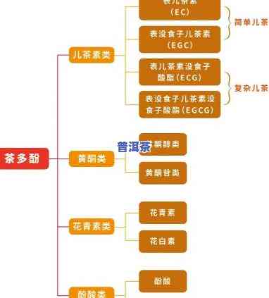 熟普洱茶多酚含量，探究熟普洱茶的健康益处：揭秘其丰富多酚含量