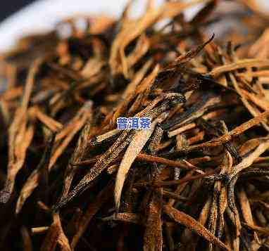 金色针状普洱茶：品种、特点及图片全面解析