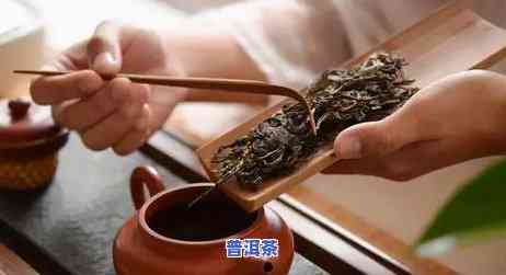 普洱茶相对湿度绝对湿度的理想范围是多少？