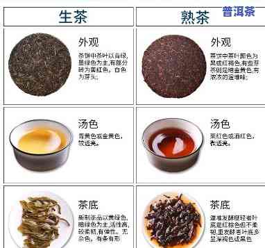 普洱茶存熟茶还是生茶：口感、健康与选择的全面解析