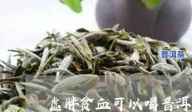 贫血能喝普洱熟茶吗-适合贫血喝的茶