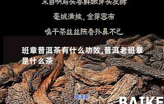 老班章老茶头是什么茶，探秘普洱茶的世界：什么是老班章老茶头？