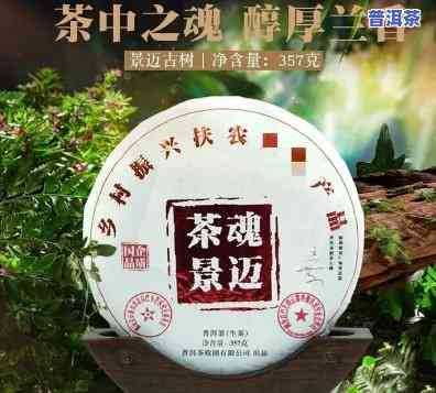 景迈普洱茶视频介绍大全-景迈普洱茶视频介绍大