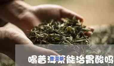 胃酸能喝普洱熟茶吗-胃酸能喝普洱熟茶吗女性