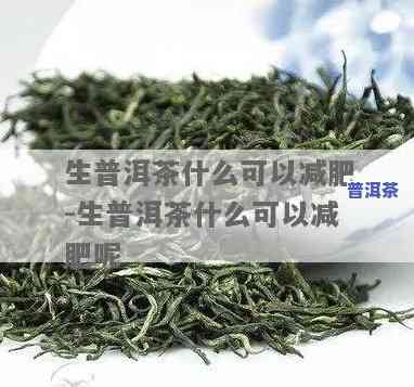 哪里买普洱茶减肥更好的-哪里买普洱茶减肥更好的呢