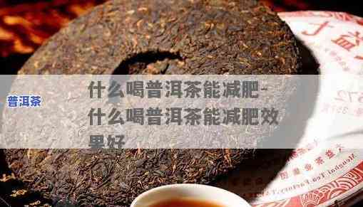 什么牌子的普洱茶减肥效果更好？专家推荐！