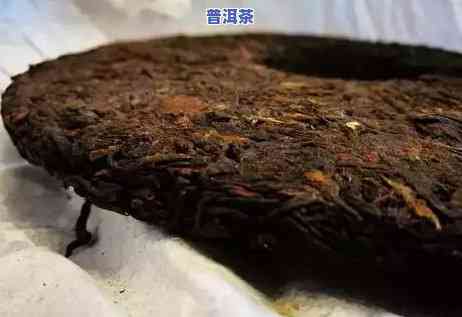 普洱熟茶能降血压吗？正确饮用方法是什么？