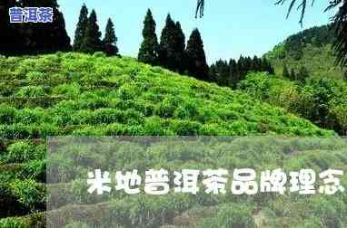 米地普洱茶简介图片-米地普洱茶简介图片大全