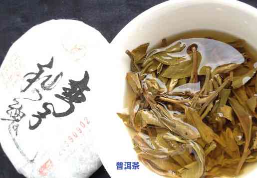 云南可靠的普洱茶排名榜有哪些，权威发布：云南普洱茶可靠排行榜一览