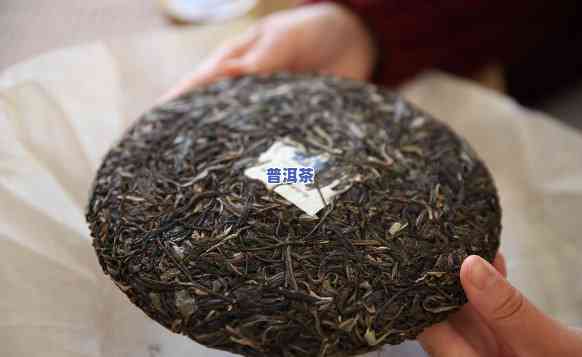 普洱茶视频推荐大全最新款：价格与评测