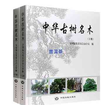 四川古树名木名录，探寻四川古树名木的奥秘：一部关于自然和历史的故事书