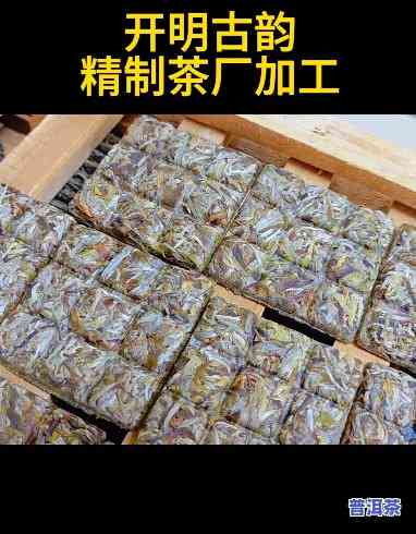 天津普洱茶加工-天津普洱茶加工最新