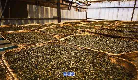 普洱茶的定向发酵方法是-普洱茶的定向发酵方法是什么