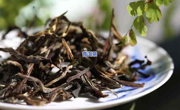 存普洱茶的危害是什么？熟悉其潜在风险与留意事项