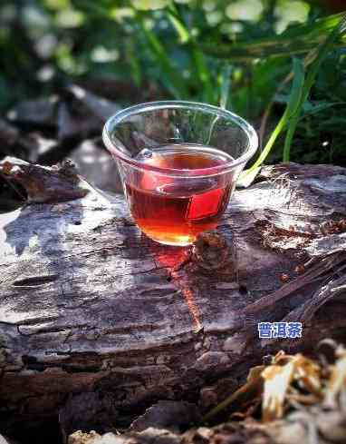 熟普洱茶和什么搭配更好，探究更佳搭配：熟普洱茶与哪些饮品相得益彰？