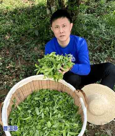 普洱茶饼质保多久过期啊图片，普洱茶饼的保存期限：质保多久过期？附图片说明