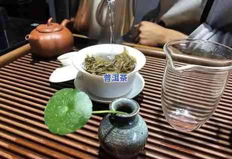 普洱茶干醒过怎么泡水喝呢，「普洱茶干醒」后的正确冲泡方法！