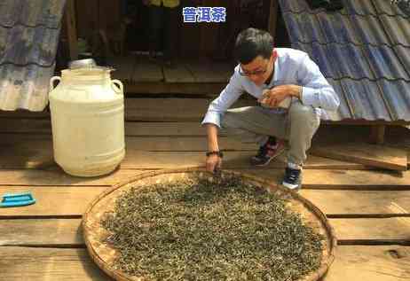 市面上普洱茶的危害全解析：图片与视频一网打尽！