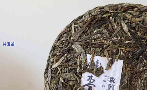 金毫普洱茶特点，探秘金毫普洱茶的特别魅力：特点解析与品鉴指南