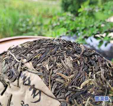 普洱茶弯弓烂田是什么茶-普洱茶弯弓烂田是什么茶叶