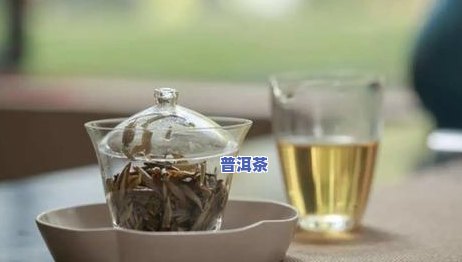 普洱茶味道有点闷怎么办-普洱茶味道有点闷怎么办呢