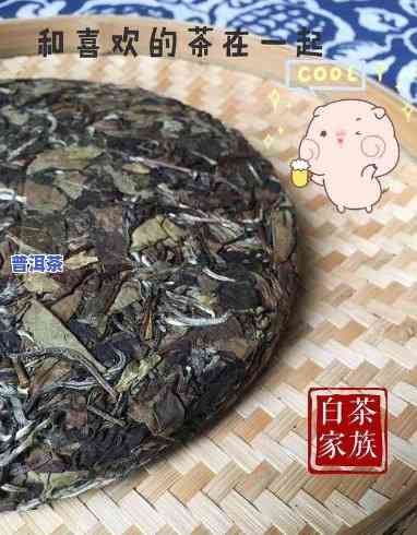 普洱茶与白茶口感比较：哪个更胜一筹？