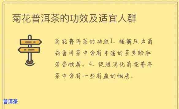 普洱茶泡菊花功效与作用：清热解、明目养神