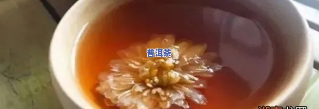 普洱茶 菊花：能否一起泡？功效与百科全解