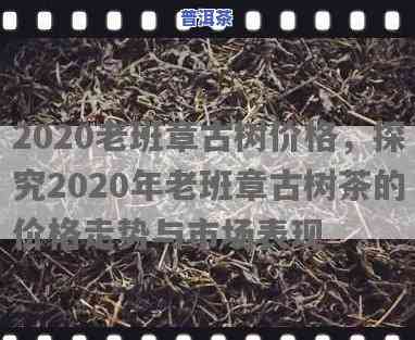 雨林古树茶2020老班章价格，揭秘2020年雨林古树茶老班章价格，深度解析其价值与收藏前景