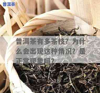 普洱茶不存在叶子：正常吗？只有茎好还是不好？