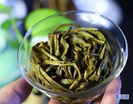 普洱茶怎样用茶针泡好喝一点，「实用技巧」怎样采用茶针泡出一杯好喝的普洱茶？