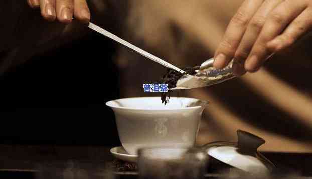 普洱茶怎样用茶针冲泡喝好，「普洱茶的正确冲泡方法」：采用茶针让你更好地品味普洱茶