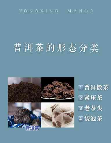 普洱茶叶什么样？熟悉其形状、颜色与图片特征