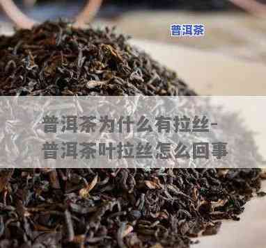 普洱茶里有塑料丝正常吗？查看图片解析