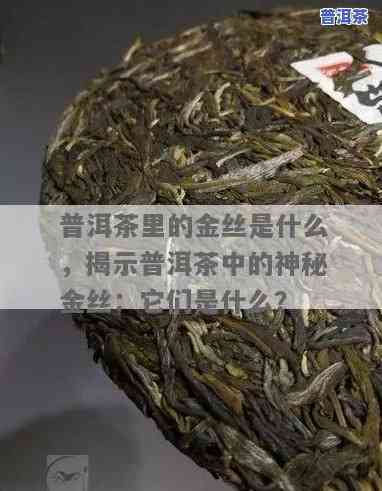 普洱茶里有塑料丝正常吗？查看图片解析