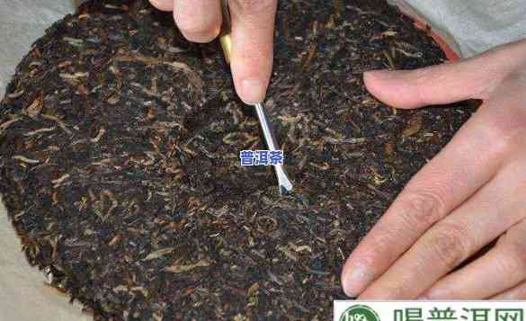 普洱茶里有塑料丝正常吗？查看图片解析