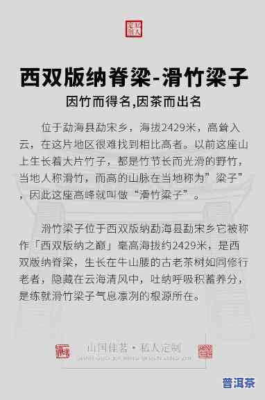 滑梁竹子普洱好不好-滑梁竹子普洱好不好养