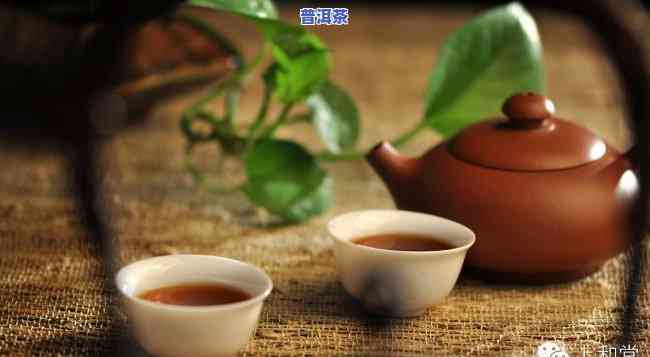 宁都普洱茶介绍图片-宁都普洱茶介绍图片大全