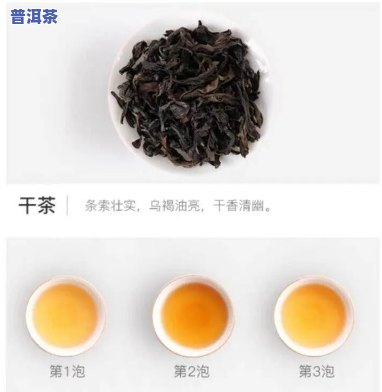 普洱茶和武夷岩茶，品味：探索普洱茶与武夷岩茶的差异与魅力