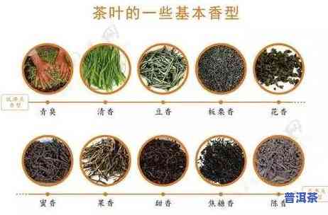 普洱茶和岩茶哪个劲大点-普洱茶和岩茶哪个劲大点好