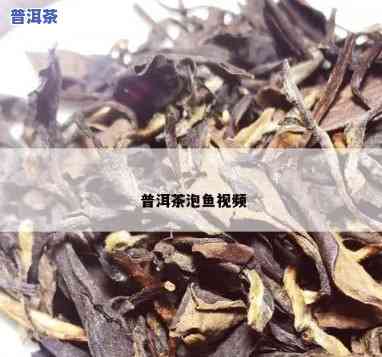 缸里放普洱茶对有好处吗？探讨其作用的视频和图片