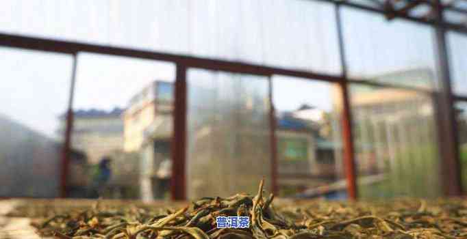 老曼峨班章茶厂官网，探访老曼峨班章茶厂官网，熟悉普洱茶的源头和制作过程