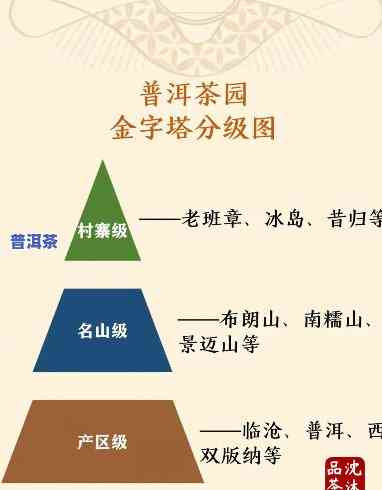 普洱茶：经典香气品种全解析及图片展示