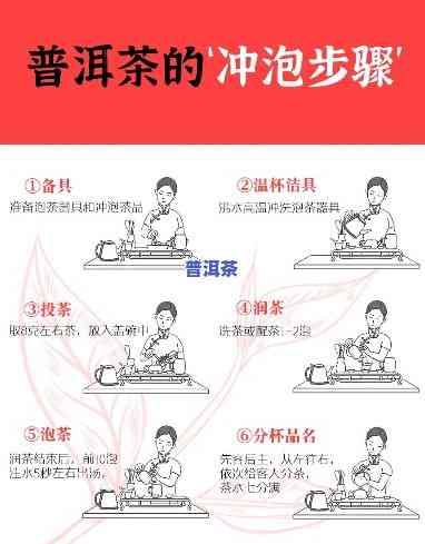 普洱茶紫砂：壶型选择与冲泡法全解